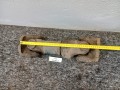 12483, Wał napędowy, pędny MAN A01, nr 2040.68 (5).jpeg