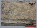 12682, Zacisk hamulca RENAUL ARES lewy tył, IRISBUS Meritor 68322653, ELSA2, 68324244-3 (10).jpg