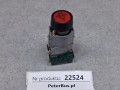 22524, Klawisz otwierania drzwi EAO 704.915.1, Swiss Made, VDE 0600, 704.950.1, symbol drzwi nr I - przednich (10).jpg