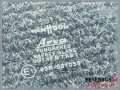 13593, Drzwi tylne VAN HOOL 815, wymiary 254 x 87,5 cm, wymiary szyby 87,5 x 72 cm (1).jpg