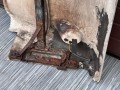 02578, Narożnik przód prawa strona BOVA MAGIQ wraz z kompletem lamp (9).jpeg