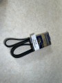 01533, Pasek wielorowkowy 8 PK 1630 HUTCHINSON (2).jpeg
