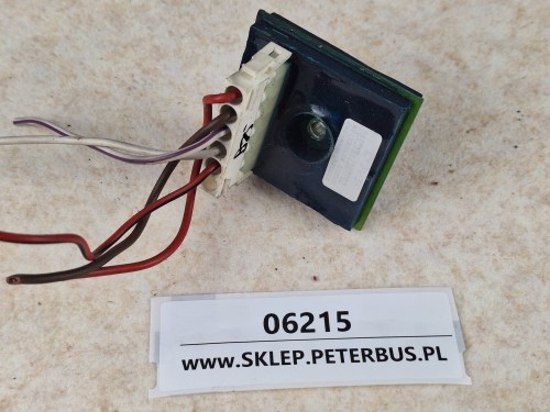 06215, Afterglow Timer DAF nr 1287782, nr 920013 (1).jpg