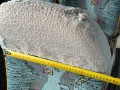 03758, Zagłówek nakładany na oparcie fotela, zagłówki z gumką - NOWE -   (1).jpeg