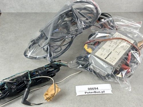 08694, BLAUPUNKT Audio Video-Switch 7 607 276 009  wraz z pełnym okablowaniem  (12).jpg