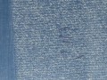 11243, Drzwi tylne, skrzydło MAN REGIO, wysokość 224,5 cm x 64,5 cm szerokości (3).jpeg