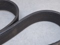 09526, Pasek Continental 10 PK 1698 (3).jpg