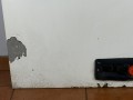 11518, IRISBUS CROSSWAY EURO 5, przedostatnia klapa po lewej stronie, za kierowcą, wymiary 91 x 84,5 cm (2).jpeg
