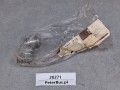 20271, Złącze proste, złączka VOLVO nr 990714, L=35 mm, gwint 30 mm, średnica 22,7 mm (9).jpg