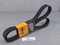 20720, Pasek klinowy Continantal 10 PK 1768 (7).jpg