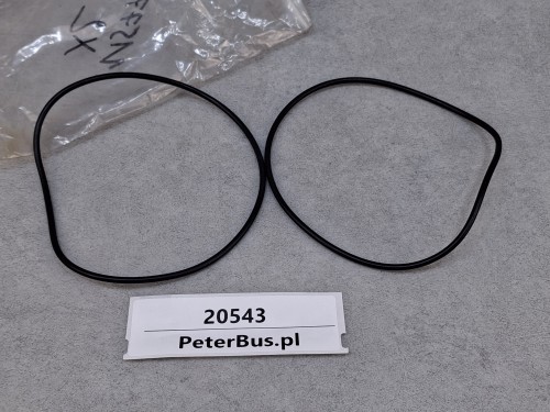 20543, Oring piasty VOLVO nr 11577 - zestaw 2 sztuki (4).jpg