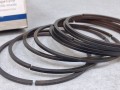 20592, Zabezpieczenie łożyska VOLVO 949872, 10 sztuk, 75 x 2 mm, DT nr 2.651146 - NOWE (2).jpg
