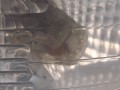 20260420_093053.jpg