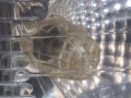 20260420_092830.jpg