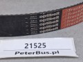21525, Pasek OPTIBELT 2-AVX13x2490 La (2).jpg