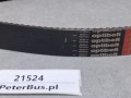 21524, Pasek OPTIBELT 2-AVX13x2490La  (4).jpg