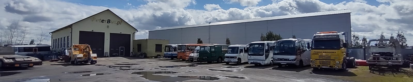 Skup autobusów na export i kasację, Peterbus
